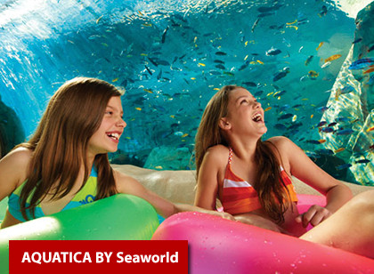 SeaWorld Orlando Ticket + All-Day Dining  - Acima de 3 anos